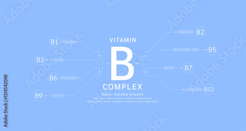 Vitamin B complex infographics on blue background. Water soluble vitamins nutrients essential for health. Used for design dietary supplement products. Medical science concept. Banner vector EPS10.