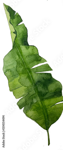 green leaf with water drops