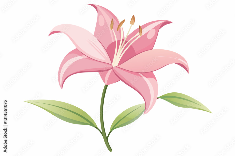 Pink lily flower with green leaves on a white background Pink lily flower with green leaves on a white background