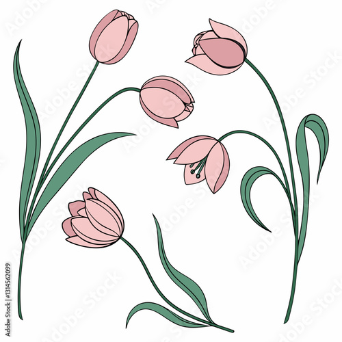 Delicate Tulip Ensemble: An artful composition showcasing several tulips, their soft petals in full bloom, gracefully curving stems. Evoking a sense of natural beauty and the arrival of spring.