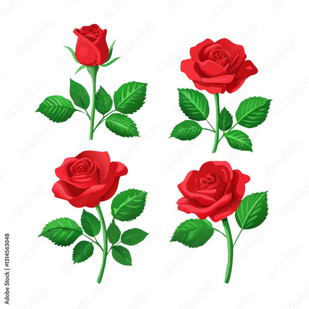 Naklejka premium Set of 4 red roses vector illustration
