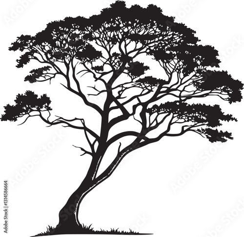 Brazilwood tree silhouette vector illustration