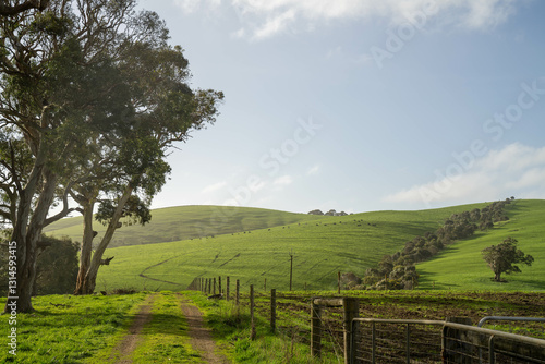 green fields and rolling hills in a farming landscape