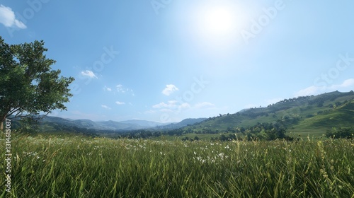 Sunny, grassy meadow, mountain valley, tranquil landscape