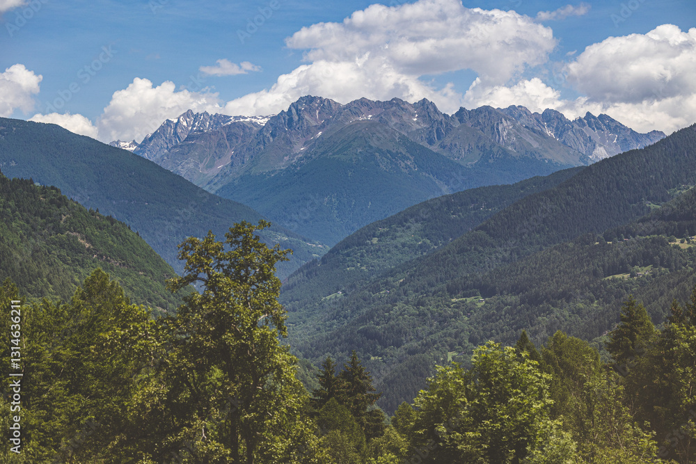 ambiente naturale tra le montagne della Lombardia, di giorno, in estate