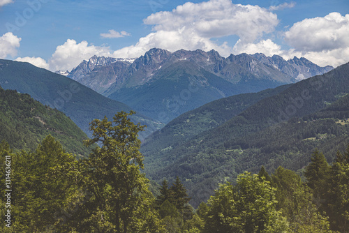 ambiente naturale tra le montagne della Lombardia, di giorno, in estate