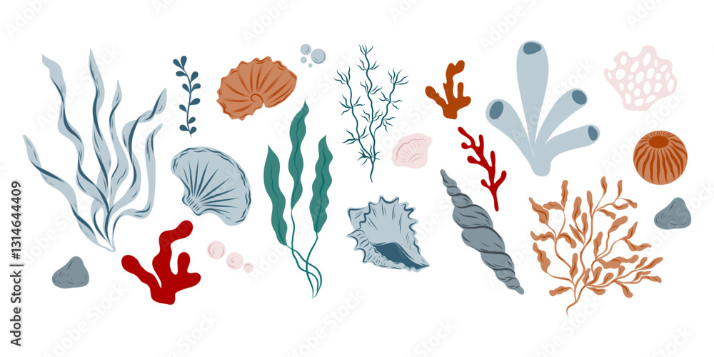 Obraz premium Set of seashells, algae, seaweeds, corals, different shapes and colors, hand drawn ocean life