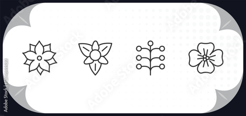 outline icons set - nature concept. pointia, gladiolus, mimosa, wallflower.
