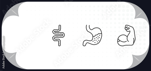 outline icons set - medical concept. bandage, intestines, stoh, arm.