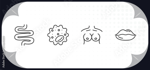 outline icons set - human body parts concept. small intestine, basophil, human breast, big lips.
