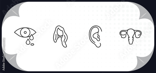outline icons set - human body parts concept. sweat or tear drop, long wavy hair variant, human ear, human uterus.