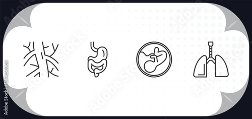 outline icons set - human body parts concept. human artery, digestive system, human fetus, respiratory system.