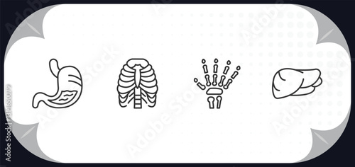 outline icons set - human body parts concept. stoh with liquids, human ribs, human hand bones, liver.