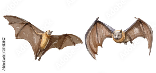 Watercolor set of bat for logo, invitations and more