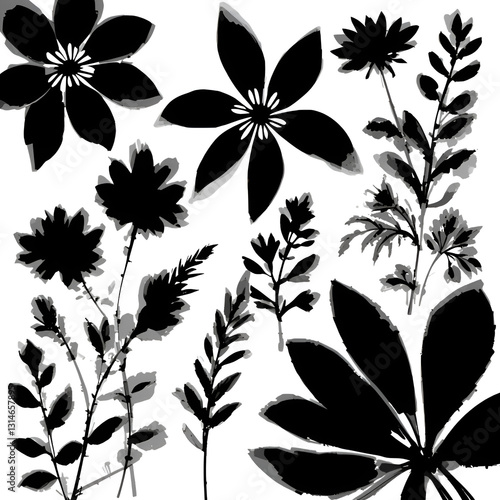 Set of abstract inky jungle flowers sketches isolated on white. Black silhouettes of hand drawn doodle florals. Botanical monochrome illustrations bundle