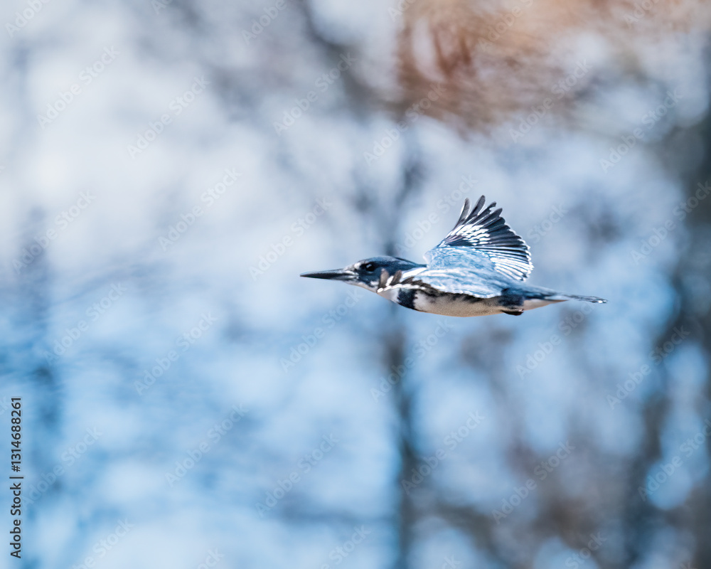 A bird soars gracefully through the sky, its wings fully extended against a blurred backdrop of trees. The image captures the motion and freedom of flight in a natural setting.