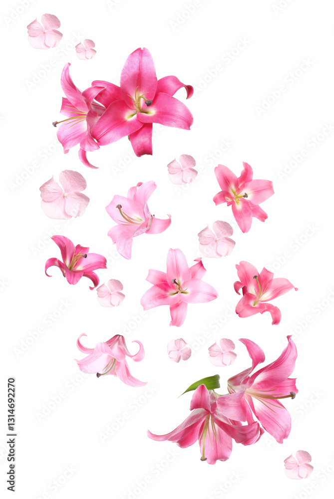 Fototapeta premium Beautiful fresh flowers falling on white background