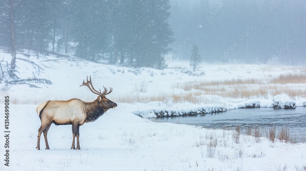 Obraz premium Majestic Elk in Snowy Yellowstone Landscape