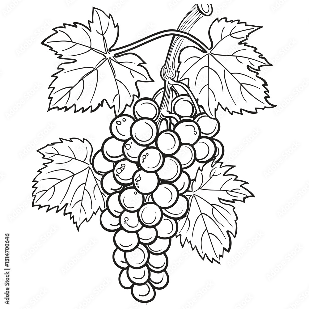 Fototapeta premium Elegant Silhouette Illustration Of bunch of grapes