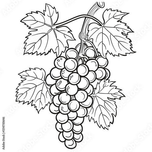 Elegant Silhouette Illustration Of bunch of grapes