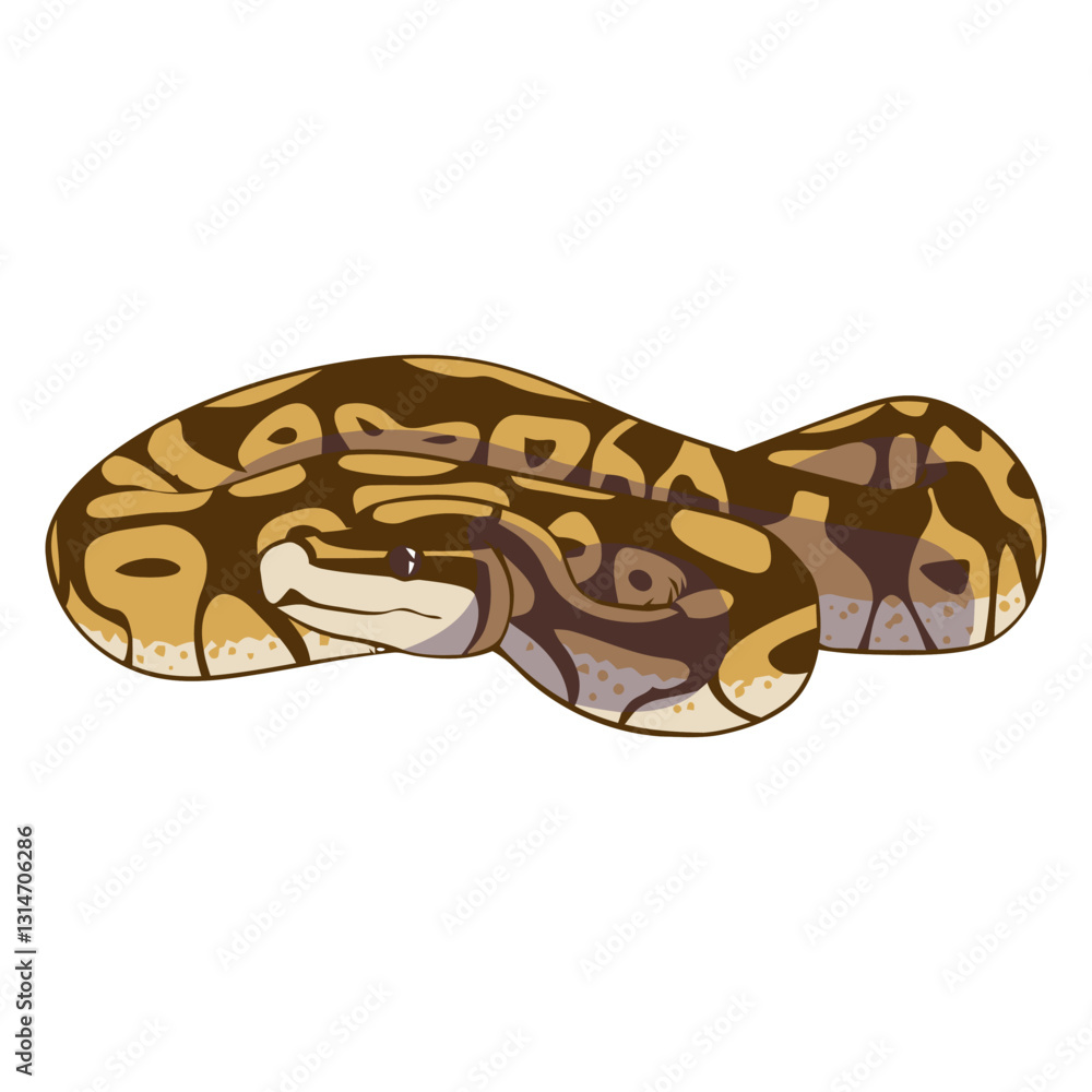 Fototapeta premium coiled front view snake flat.eps
