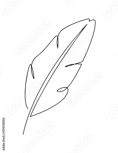 Contour drawing of a feather with central axis and curved lines.