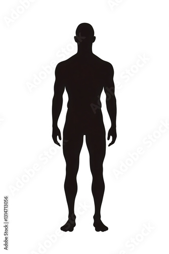 Silhouette of human body standing upright on transparent background