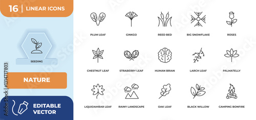 outline icons set - nature concept. seeding, plum leaf and more.