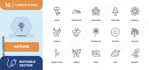 outline icons set - nature concept. hypericum, larch and more.