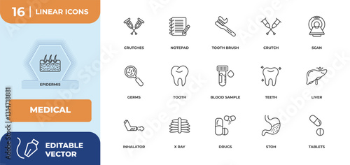 outline icons set - medical concept. epidermis, crutches and more.
