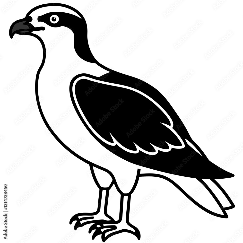 Fototapeta premium vector illustration of a bird