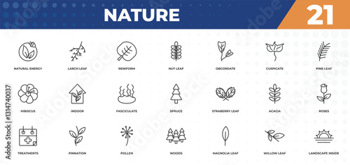 outline icons set - nature concept. natural energy, larch leaf and more.