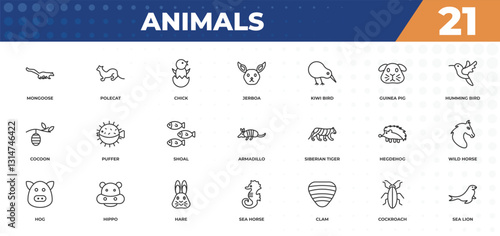 outline icons set - animals concept. mongoose, polecat and more.