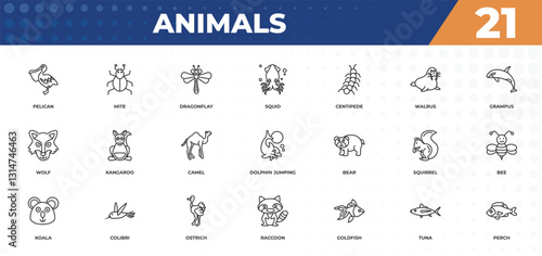 outline icons set - animals concept. pelican, mite and more.