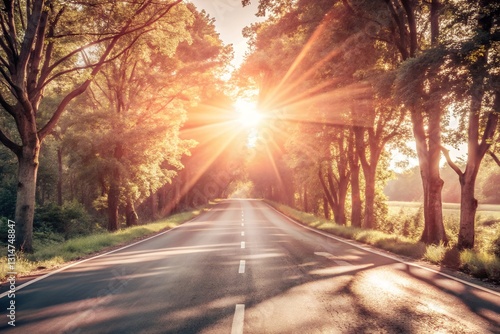 Autumn street with tree leaves, peaceful countryside road with fresh greenery summer