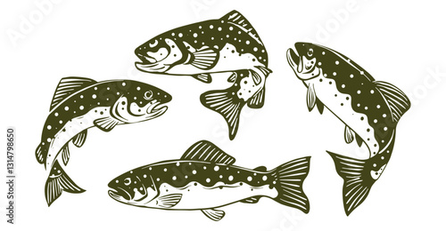illustration of trout in various poses, for logo design,fishing illustration, nature and outdoor activity design or etc.