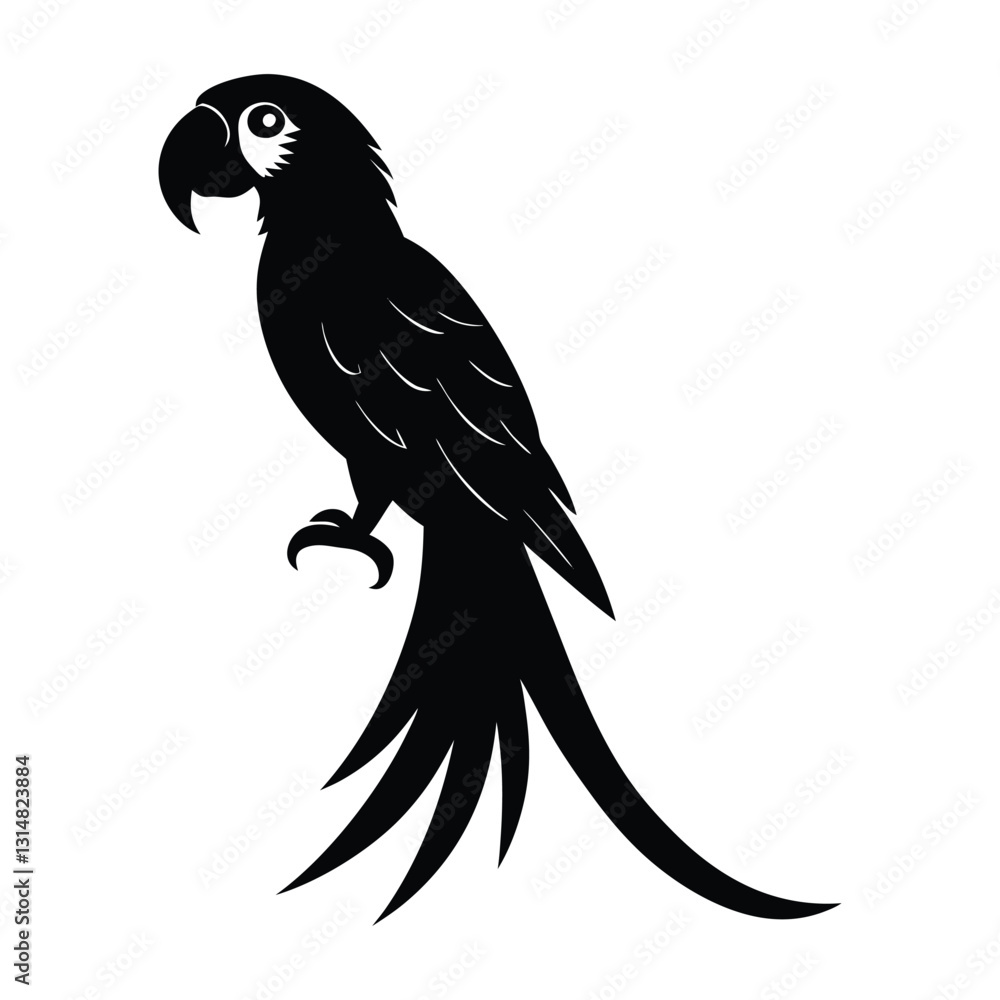 Obraz premium Macaw Perched with Large Beak and Long Tail Silhouette