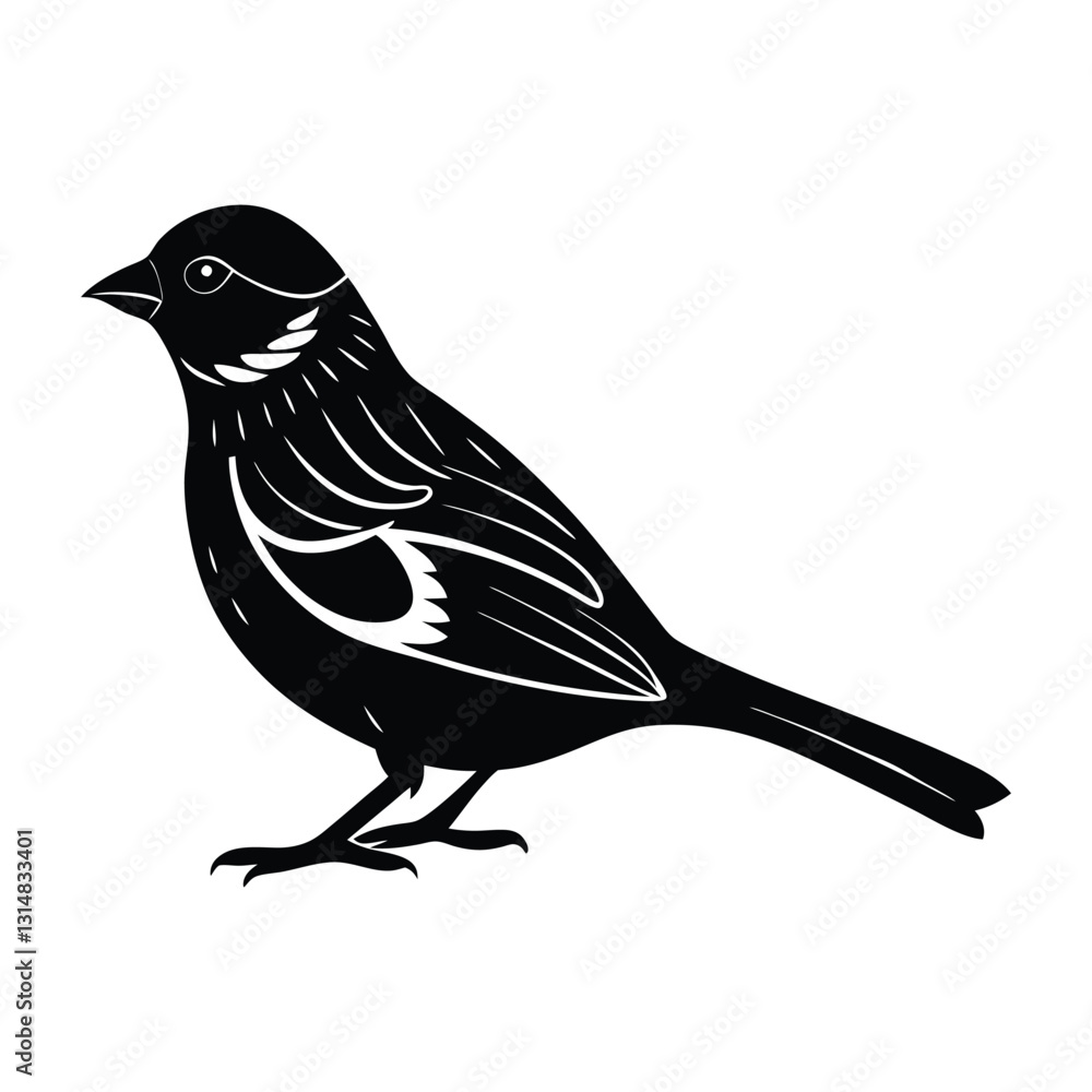 Fototapeta premium Sparrow Standing with Slightly Raised Tail Silhouette