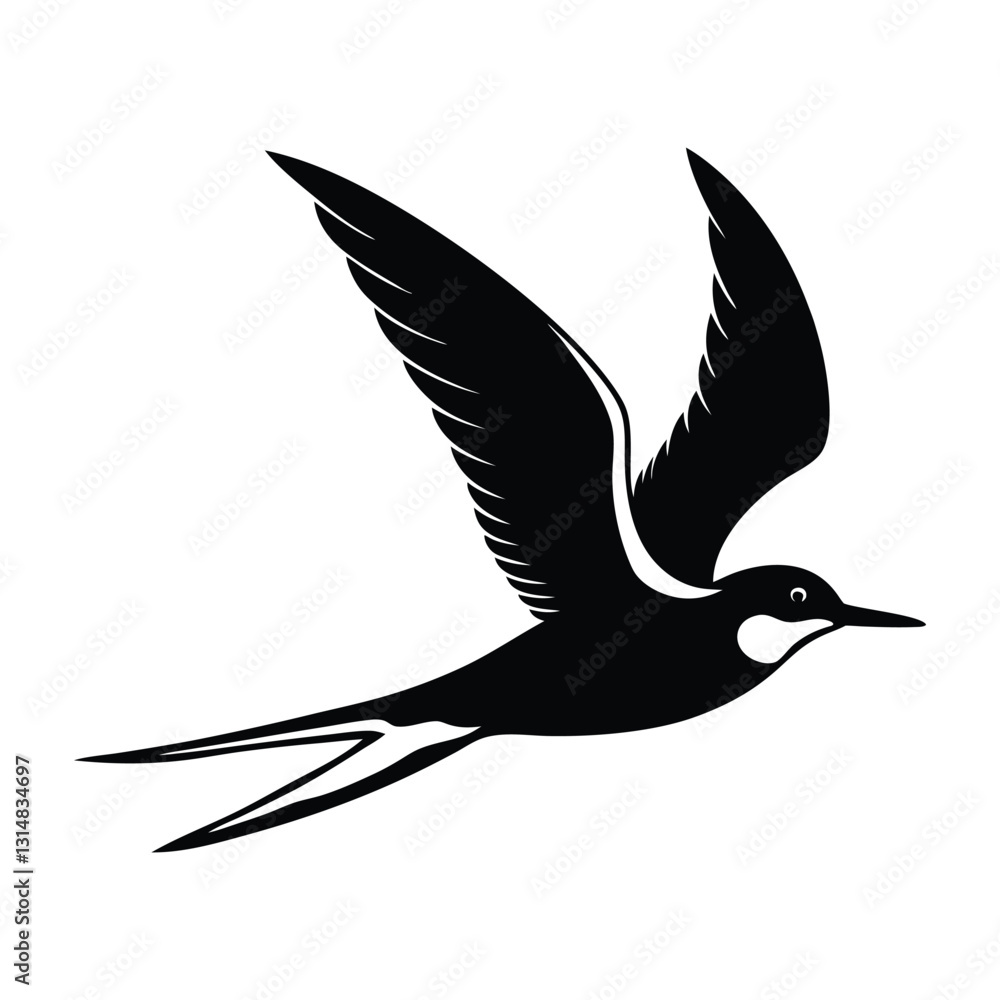 Fototapeta premium Tern Flying Low Over Water with Long Wings Silhouette