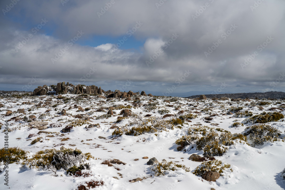 Obraz premium snow on a mountain in australia