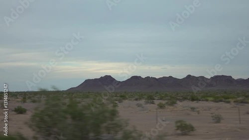 Arid landscape with junipers and grass in Arizona in slow motion 120fps