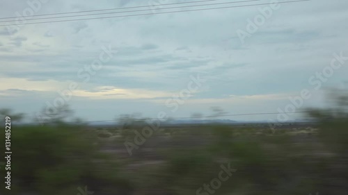 Arid landscape with junipers and grass in Arizona in slow motion 120fps