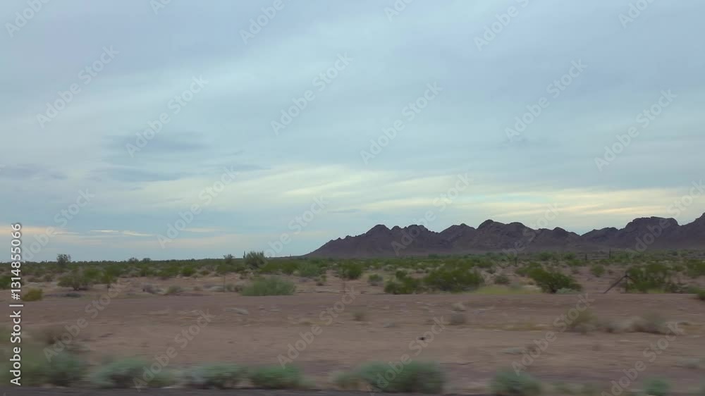 Arid landscape with junipers and grass in Arizona in slow motion 120fps Arid landscape with junipers and grass in Arizona in slow motion 120fps