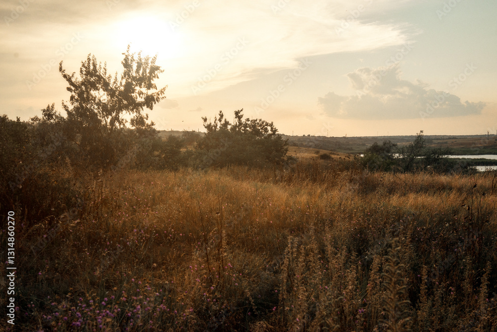 Stunning sunset over a serene grassy field in the foreground and a lake in the distance Stunning sunset over a serene grassy field in the foreground and a lake in the distance