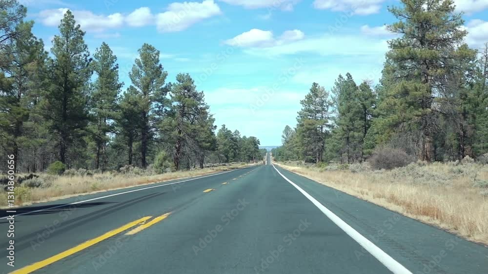 Driving through a pine forest in Arizona with a bright blue sky and scattered clouds in slow motion 250fps Driving through a pine forest in Arizona with a bright blue sky and scattered clouds in slow motion 250fps