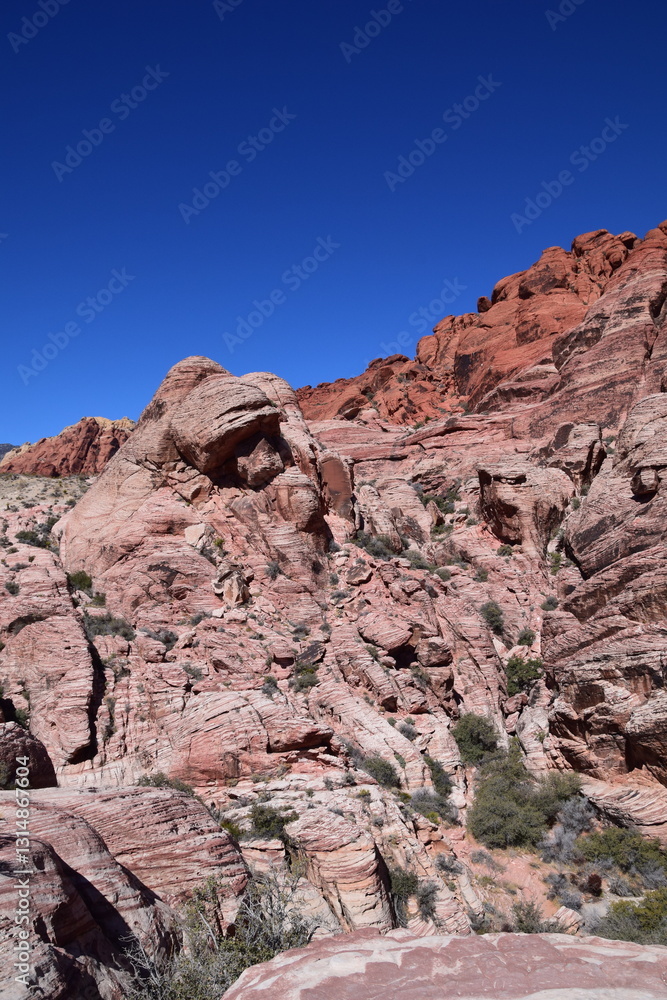 Fototapeta premium Red and Pink Rocks Desert Scenery Valley of Fire