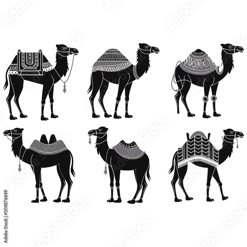 Camel Illustrations Set