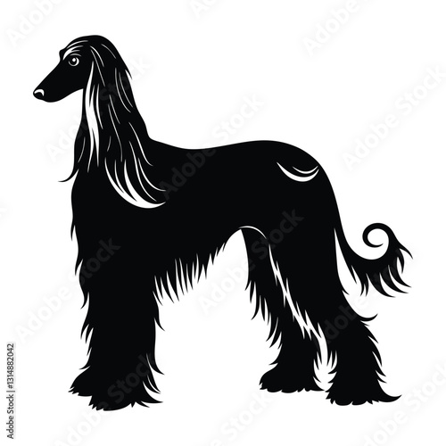 Afghan Hound Exhibiting Flowing Fur and Elegant Silhouette Isolated