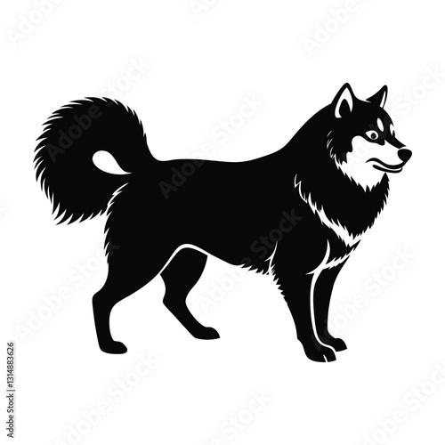 Alaskan Malamute Walking Forward with Thick Fur Silhouette Isolated