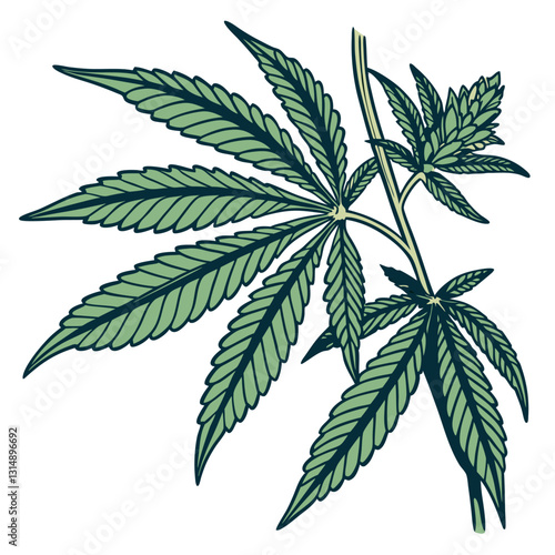 Cannabis leaf.